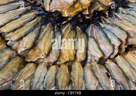 Le poisson séché dans un cercle sur l'assiette. Banque D'Images