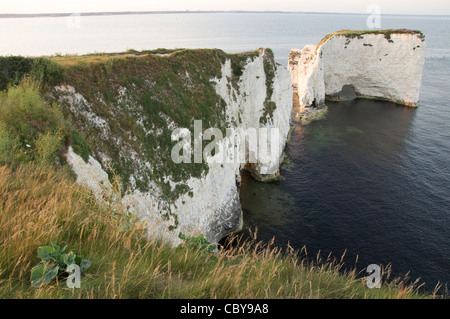 Old Harry Rocks. Piles de craie massive debout juste à côté de la de vertigineuses falaises de calcaire de la côte de Purbeck. Dorset, Angleterre, Royaume-Uni. Banque D'Images