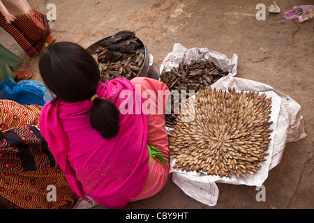 L'Inde, Manipur, Imphal, Khwairamband Bazar, vendeur de rue, avec l'affichage de petits rayonnant pour la vente du poisson séché Banque D'Images