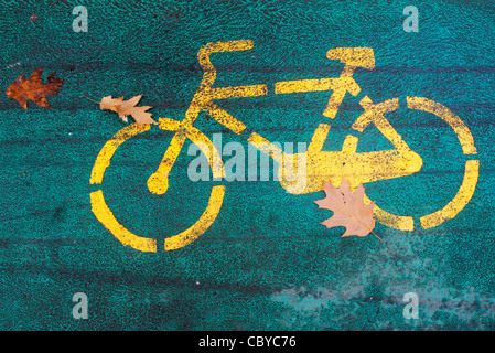 Détail d'une bande cyclable dans un parc avec les feuilles d'automne Banque D'Images