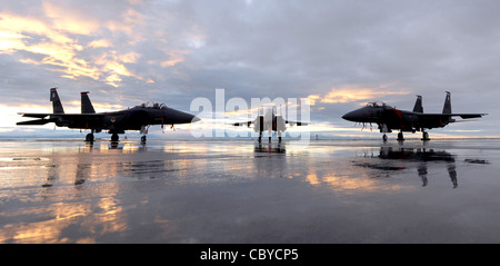 Un F-15SG et deux F-15E Strike Eagles sont assis sur la ligne de floightline pendant le coucher du soleil le 6 décembre 2010, à la base aérienne de Mountain Home, Idaho. La maniabilité et l'accélération supérieures du F-2015 sont obtenues grâce à son rapport poids/poussée élevé et à sa faible charge sur les ailes. C'était le premier avion américain opérationnel dans lequel la poussée des moteurs dépassait le poids chargé de l'avion, lui permettant d'accélérer en montée verticale. Les F-15E sont affectés aux 391e et 389e escadrons de chasseurs et le F-15SG est affecté au 428e Escadron de chasseurs. Banque D'Images
