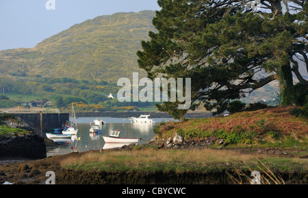 Cove Harbour, Nr. Caherdaniel, Ring of Kerry, Irlande Banque D'Images