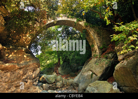 Le Diakoumis, vieille pierre, pont en arc dans le Nord de Pelion Mountain, magnésie, Thessalie, Grèce. Banque D'Images