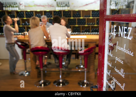 Le tourisme du vin, vin, SENSATION D'UN ESPACE CONSACRÉ AUX VINS, LA GRANDE ROUTE DES VINS DE BOURGOGNE, BEAUNE, CÔTE D'OR (21), FRANCE Banque D'Images