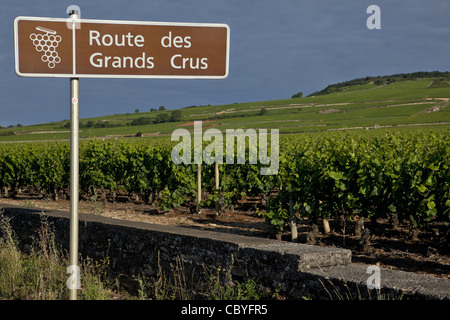 Panneau INDIQUANT LA GRANDE ROUTE DES VINS DE BOURGOGNE, Pommard, CÔTE D'OR (21), FRANCE Banque D'Images