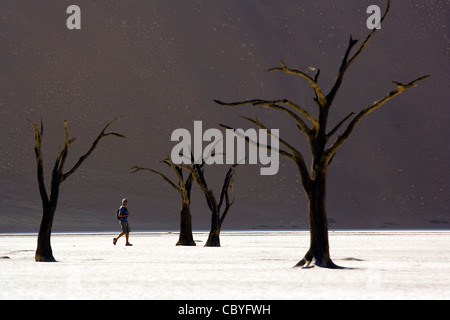 Randonneur dans Deadvlei - Sossusvlei - Parc national du Namib-Naukluft National Park, Namibie, Afrique Banque D'Images