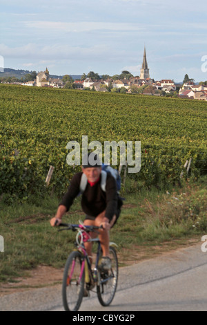 Vignes EN FACE DU VILLAGE DE MEURSAULT, LA GRANDE ROUTE DES VINS DE BOURGOGNE, CÔTE D'OR (21), FRANCE Banque D'Images