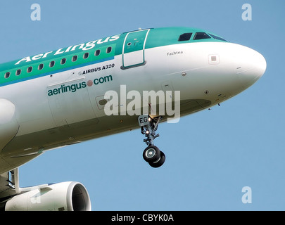 Airbus A320-200 d'Aer Lingus (EI-DEG) Terres à l'aéroport Heathrow de Londres, Angleterre. Banque D'Images