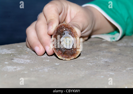 Enfant tenant un micro conteneur de chasse au trésor camouflé caché dans une fausse roche à l'aspect naturel aux Açores, au Portugal. Banque D'Images