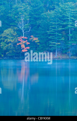 Couleurs d'automne au Emerald Lake State Park, Vermont. Banque D'Images