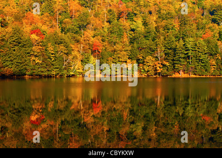 Image miroir de couleurs d'automne sur le lac Emerald, Vermont. Banque D'Images