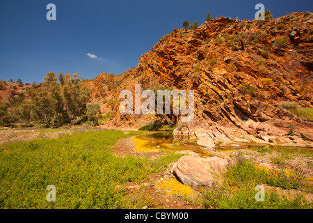 Brachina Gorge robuste de Ikara Flinders Ranges National Park dans le sud de l'Australie de l'outback, l'Australie Banque D'Images