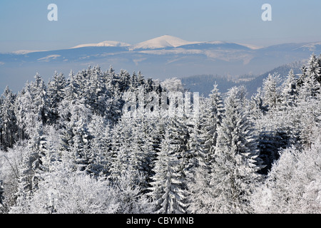 Sniezka, montagne, Dolnoslaskie, nature hivernale, neige, paysage, pourrait, beau, beauté, climat, Polska, voyage, photo Kazimierz Jurewicz, Banque D'Images