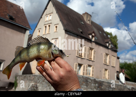 Le poisson capturé PAR UN PÊCHEUR DANS LA RIVIÈRE EURE, STREET-Pêche, CHARTRES BASSE VILLE, Eure-et-Loir (28), FRANCE Banque D'Images