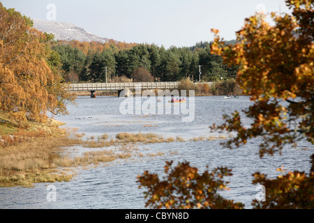 Loch Insh Kincraig dans près d'Aviemore où la rivière Spey coule à travers le loch Banque D'Images