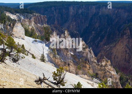 Grand canyon de Yellowstone Banque D'Images