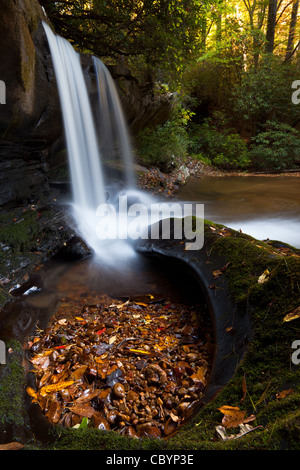 Raper creek falls en automne Banque D'Images