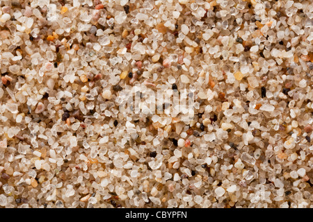 Grain de sable de quartz à 4 fois le grossissement grandeur nature, un échantillon de Great Sand Dunes National Park, Colorado Banque D'Images
