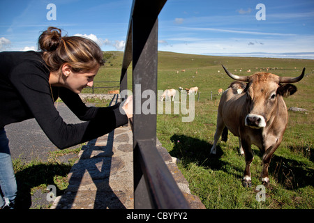 Jeune fille PHOTOGRAPHIER VACHES AUBRAC, NALS, Lozère (48), l'Aubrac, FRANCE Banque D'Images