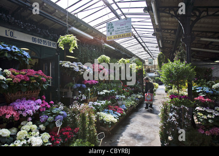 Marché aux Fleurs SUR L'ILE DE LA CITÉ, la station de métro, Paris (75), FRANCE Banque D'Images