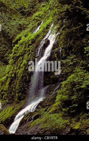 Boulder Creek Falls Comté de King à l'ouest de l'état de Washington USA Darrington Banque D'Images