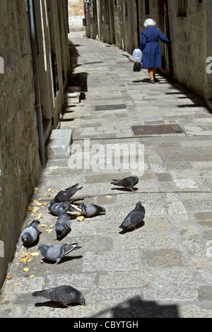 Vieille Femme juste après avoir nourri les pigeons dans une allée de la côte dalmate, Dubrovnik, Croatie, Europe, Banque D'Images