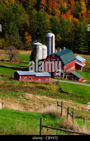 L'automne à Hillside Acres Farm dans le Vermont. Banque D'Images