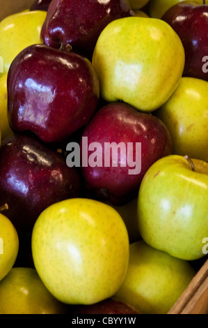 Close up, automne, Halloween, citrouilles, frais, fruits de saison, Banque D'Images