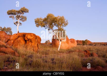 Lumière du soir sur les rochers de granit rouge et de gommes ghost le Devil's Marbles salon en Australie dans le Territoire du Nord. Banque D'Images