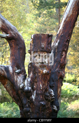 Frank Bruce sculpture trail à Kincraig Ecosse Banque D'Images