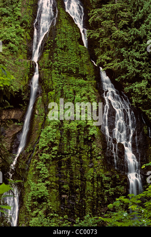 Boulder Creek Falls Comté de King à l'ouest de l'état de Washington USA Darrington Banque D'Images