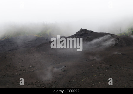 Vent de vapeur Pacaya Active Volcano Guatemala // VOLCAN PACAYA, Guatemala — la vapeur qui s'élève du sol chaud se mélange avec les nuages au sommet du volcan Pacaya au Guatemala. Pacaya est un volcan actif qui fait partie de l'Arc volcanique d'Amérique centrale. Il forme une destination touristique populaire facilement accessible depuis Antigua et Guatemala City. Situé dans le parc national de Pacaya, il culmine à 2 552 mètres (8 373 pieds). Sa dernière éruption majeure, qui a causé des dommages considérables aux villages voisins et remodelé le sommet, a eu lieu en mai 2010. Cette éruption et les cendres volcaniques dispersées sur une grande partie du Banque D'Images