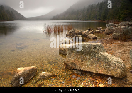 Brouillard à l'étang de la bulle dans l'Acadia National Park, Maine, USA Banque D'Images