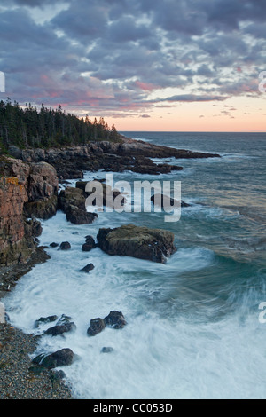 Vue de la côte sur la péninsule de Schoodic à Acadia National Park, Maine, USA Banque D'Images