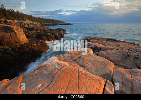 Côte Rocheuse vue sur la péninsule de Schoodic à Acadia National Park, Maine, USA Banque D'Images