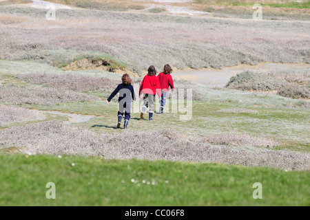 Les garçons EN BOTTES D'EXÉCUTION À TRAVERS LES MARAIS, CROTOY, Baie de Somme, Somme (80), FRANCE Banque D'Images