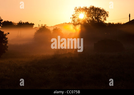 Brume matinale en campagne du Suffolk, UK Banque D'Images