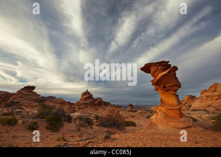 Étrange rocher de grès en forme de formations dans le sud Coyote Buttes Paria Canyon-Vermilion Cliffs Wilderness Area en Arizona Banque D'Images