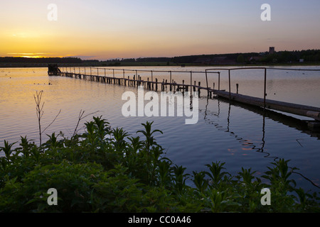 Lac dans le Suffolk, UK Banque D'Images