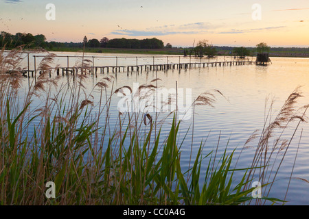 Lac dans le Suffolk, UK Banque D'Images