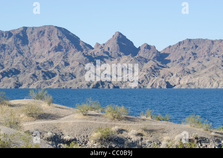 Rives du désert de Lake Havasu en Arizona Banque D'Images