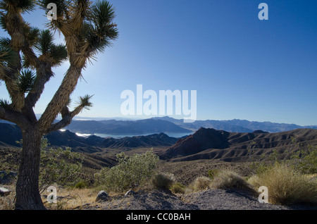 High Desert donnent sur le Lac Mead Arizona Banque D'Images