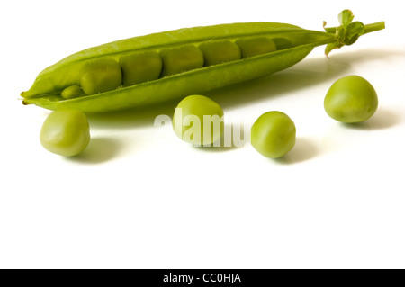 Close up of open pea pod sur fond blanc Banque D'Images