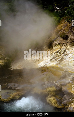 L'activité thermique volcanique à Furnas Lake île de São Miguel Açores Banque D'Images