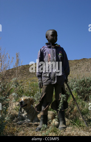 Jeune berger avec les chiens au Lesotho, l'Afrique Banque D'Images