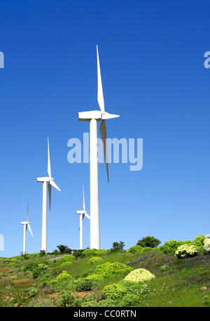 turbine de vent Banque D'Images