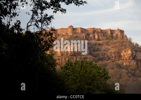 Site du patrimoine Fort de Ranthambore au Rajasthan, Inde du Nord Banque D'Images