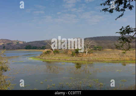 Les éco-touristes par Padam Lake et Jogi Mahal pavillon de chasse dans le Parc National de Ranthambhore, Rajasthan, Inde du Nord Banque D'Images