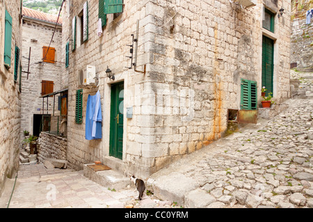 Vue sur la vieille ville de Kotor, ville de l'unesco au Monténégro. Banque D'Images