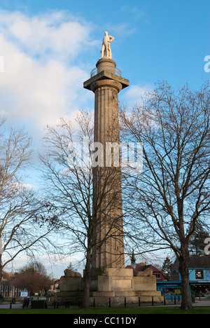 Lord Hill's Column à Shrewsbury Banque D'Images